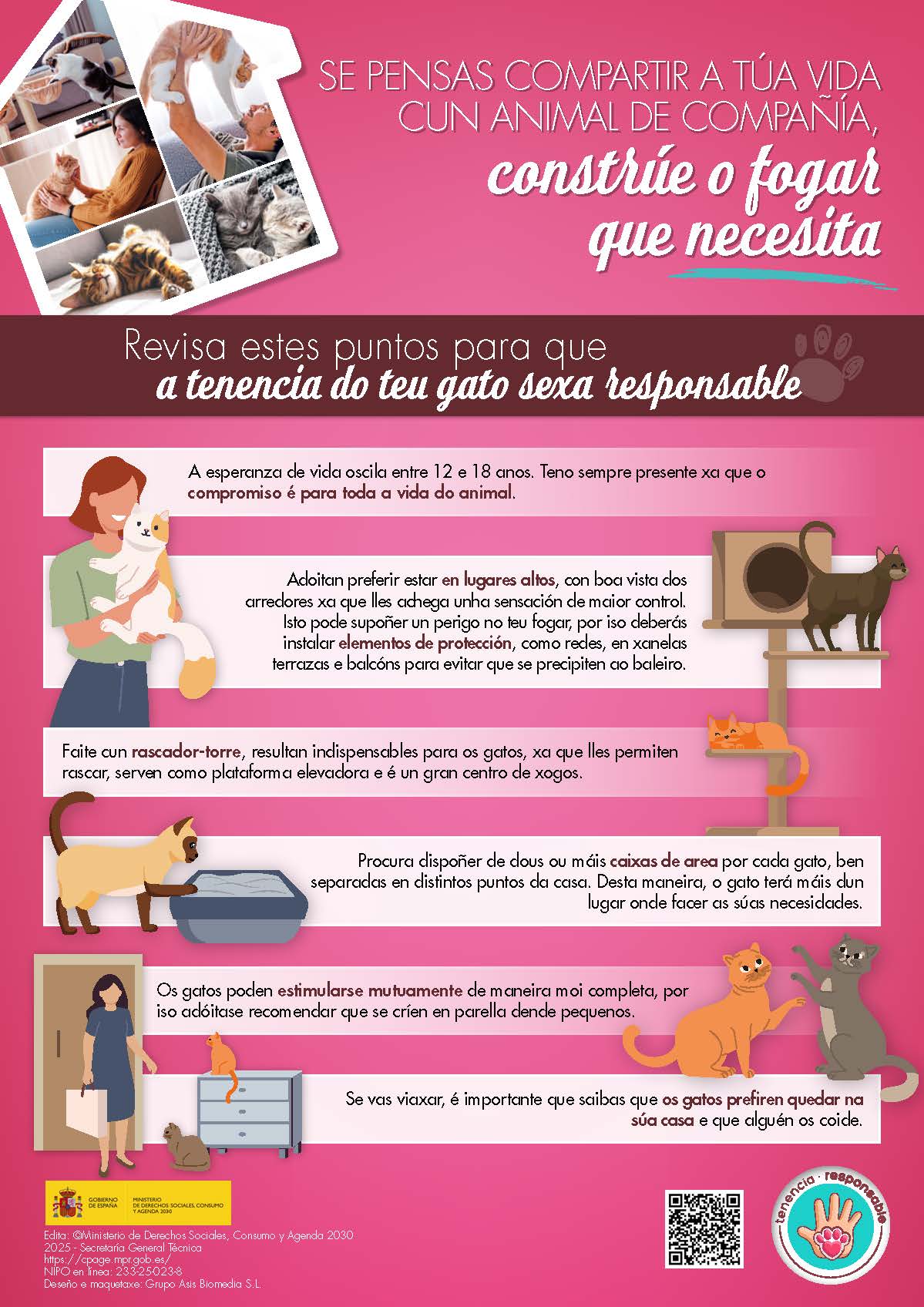 cartel_tenencia_responsable_gatos_gallego
