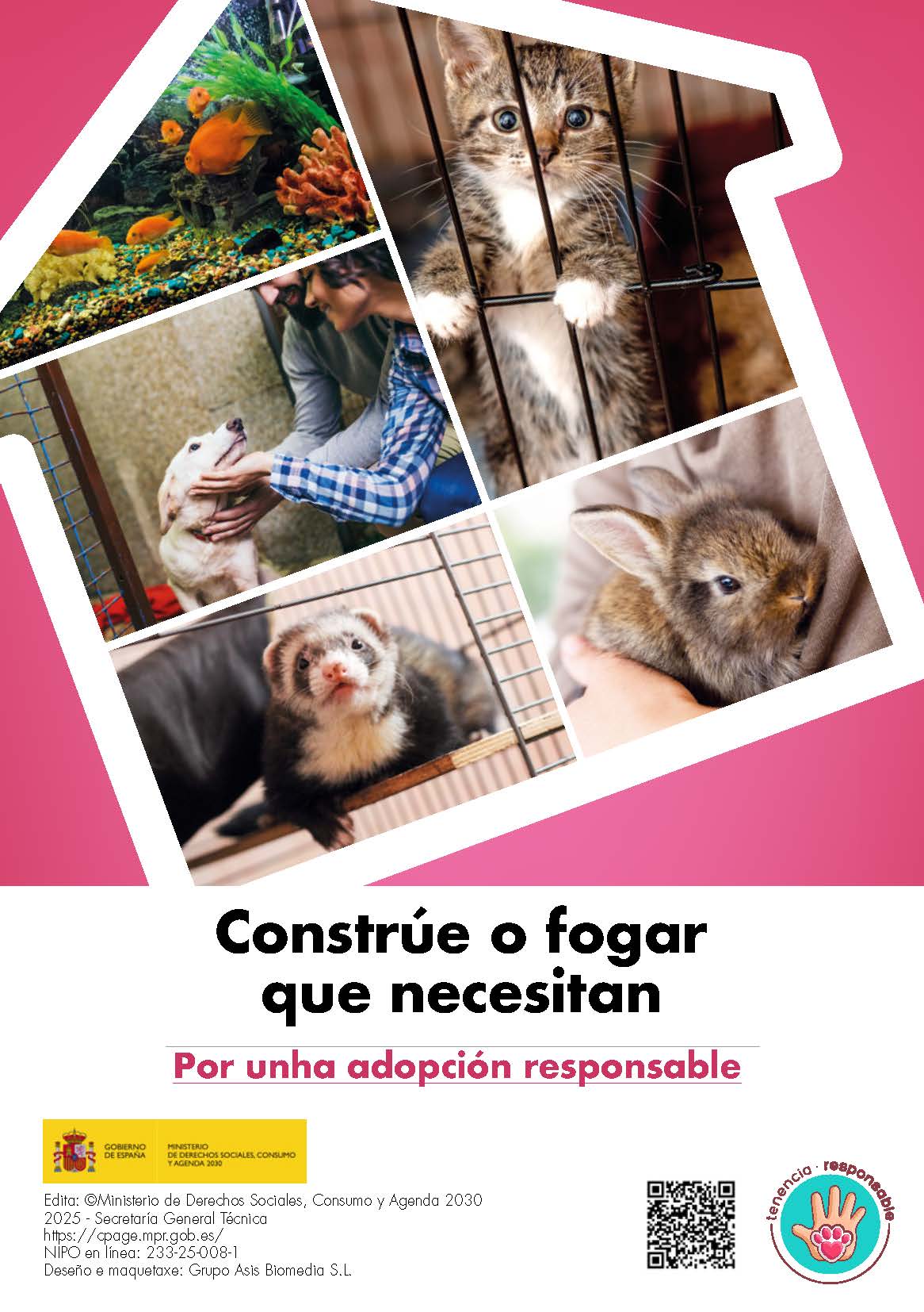 flyer_tenencia_responsable_adopcion_gallego