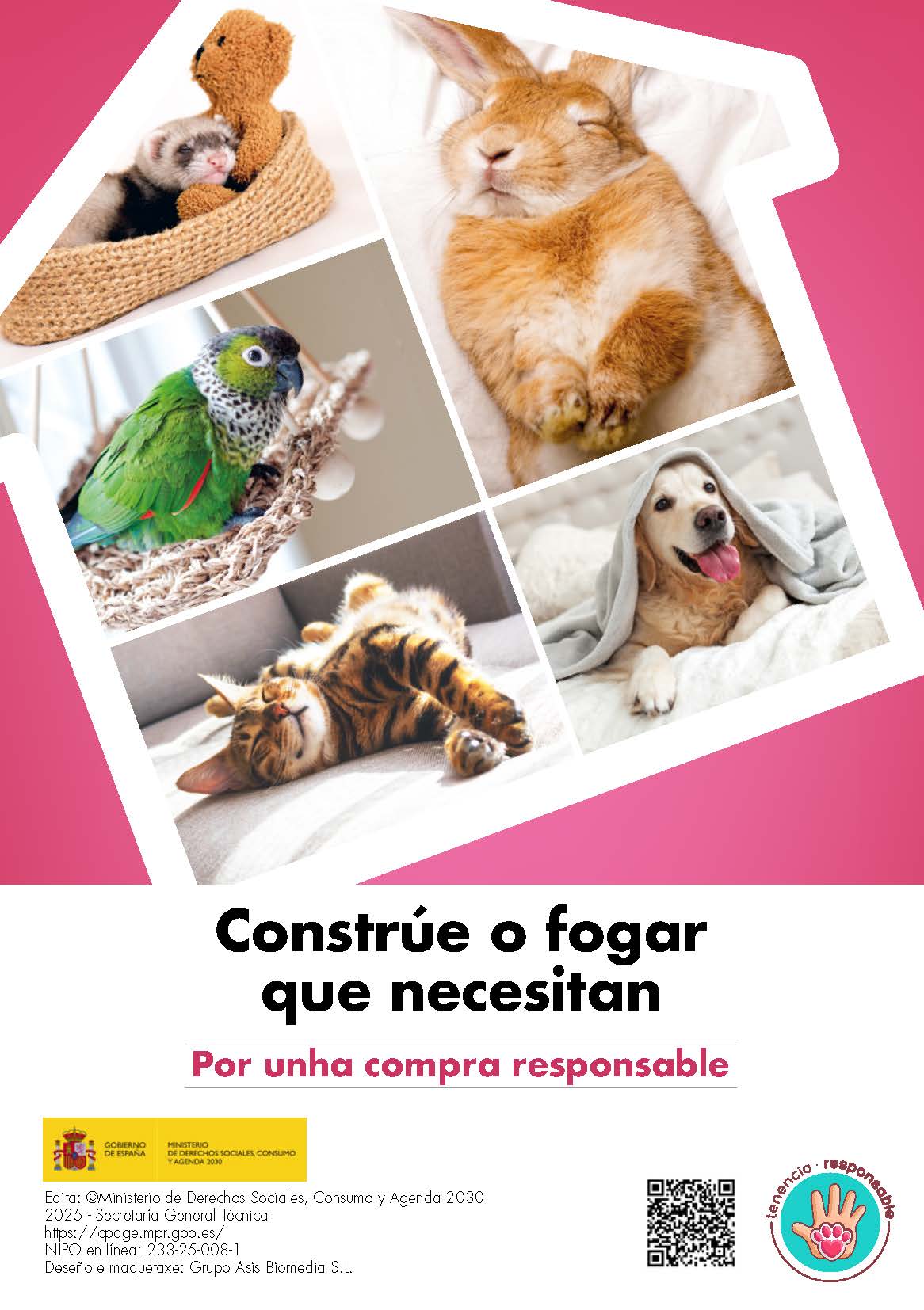 flyer_tenencia_responsable_compra_gallego