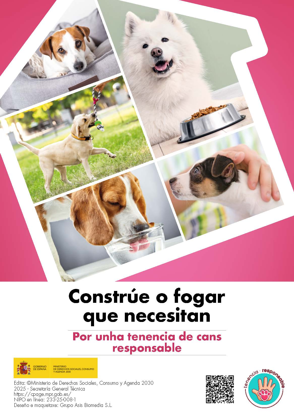 flyer_tenencia_responsable_perros_gallego