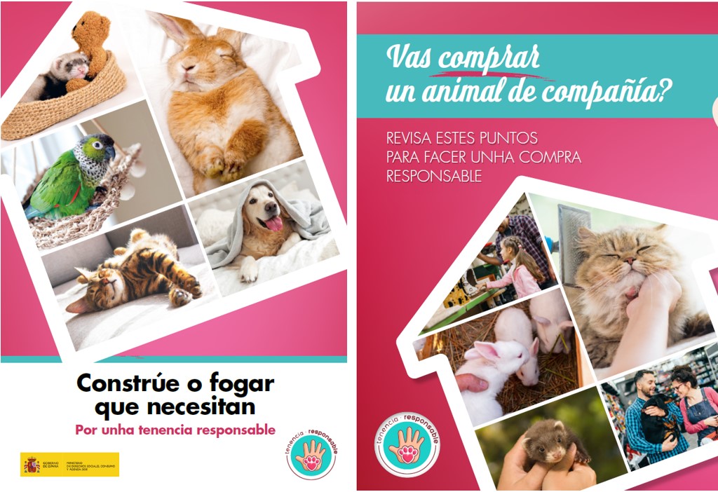 triptico_tenencia_responsable_compra_gallego