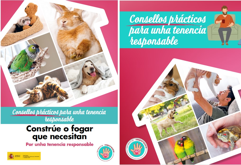 triptico_tenencia_responsable_consejos_gallego
