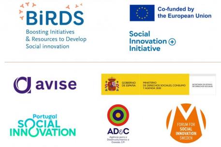 BIRDS es un proyecto de colaboración transnacional entre los Centros Nacionales de Competencias para la Innovación Social de Francia, Portugal, España y Suecia