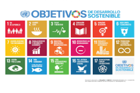 ODS A2030