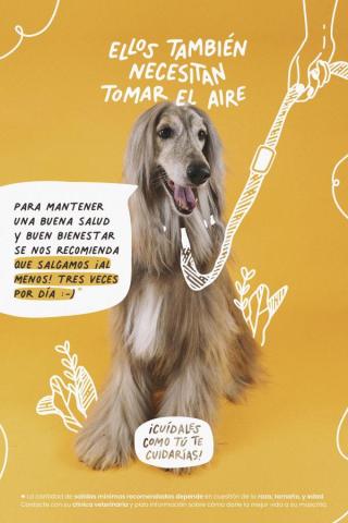 Cartel publicitario de un perro con el texto: "ELLOS TAMBIÉN NECESITAN TOMAR EL AIRE" encima y un globo de texto con: "PARA MANTENER UNA BUENA SALUD Y UN BUEN BIENESTAR SE NOS RECOMIENDA QUE SALGAMOS ¡AL MENOS! TRES VECES POR DÍA :-)"
