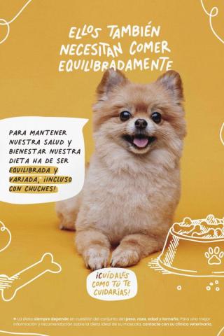 Cartel publicitario de un perro con el texto: "ELLOS TAMBIÉN NECESITAN COMER EQUILIBRADAMENTE" encima y un globo de texto con: "PARA MANTENER NUESTRA SALUD Y BIENESTAR NUESTRA DIETA HA DE SER EQUILIBRADA Y VARIADA, ¡INCLUSO CON CHUCHES!"