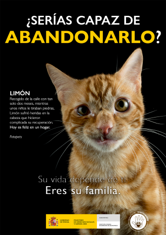 LIMON