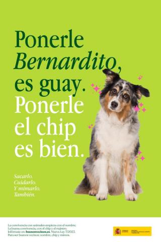 Buenos Vecinos Cartel 02 Castellano