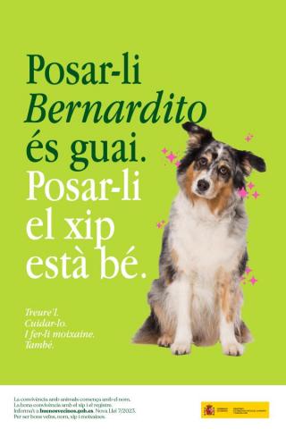 Buenos Vecinos Cartel 02 Catalán