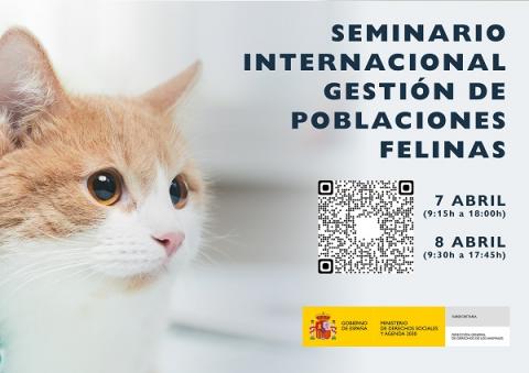 I Seminario internacional sobre colonias felinas