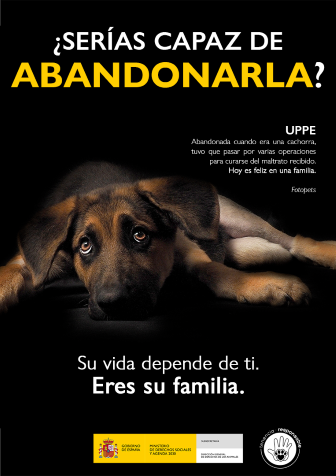 UPPE